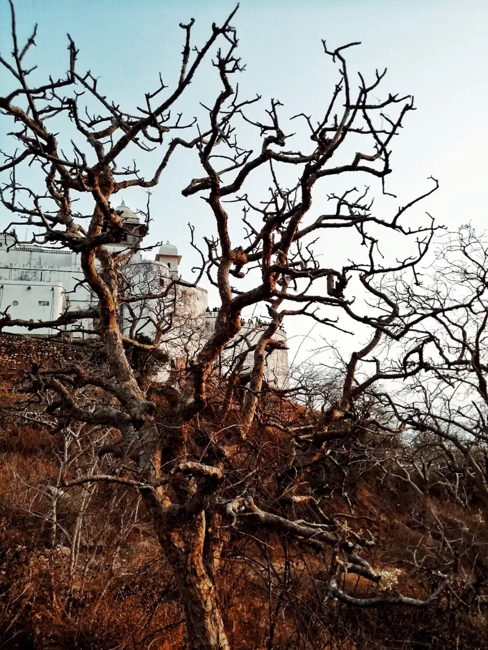 Photo of Udaipur, Rajasthan, India by Bobita Konwar