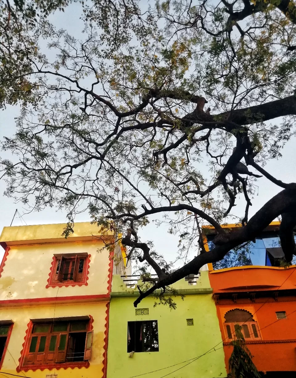 Photo of Udaipur, Rajasthan, India by Bobita Konwar