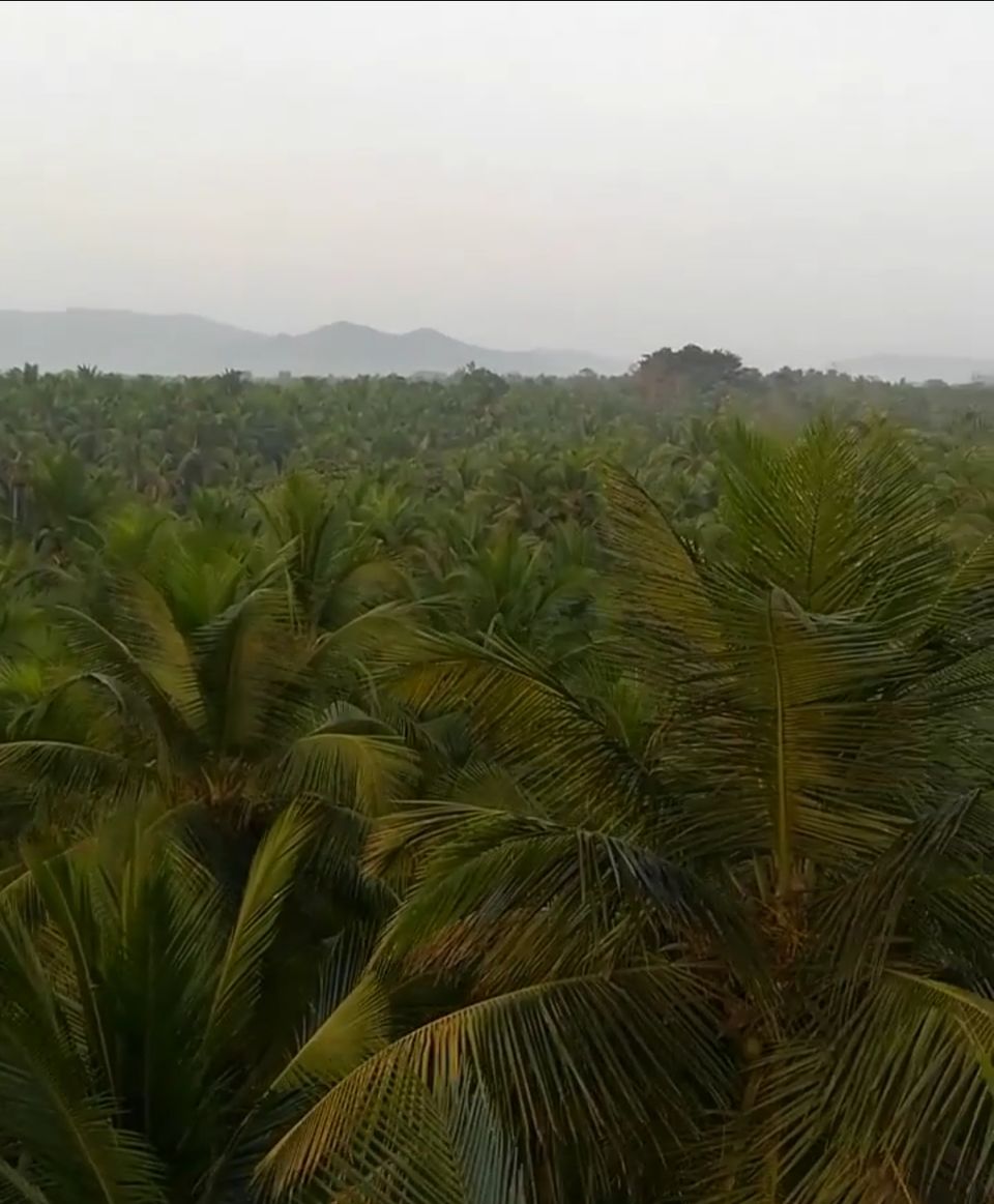 Photo of I didn't go to BAGA.. instead I tried the different things in GOAA... Excited Isn't :) by Veena