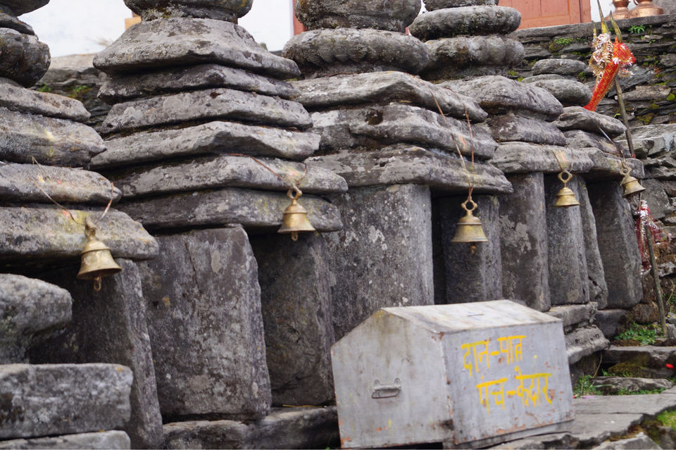 Photo of Occult Tungnath. by Anuja J