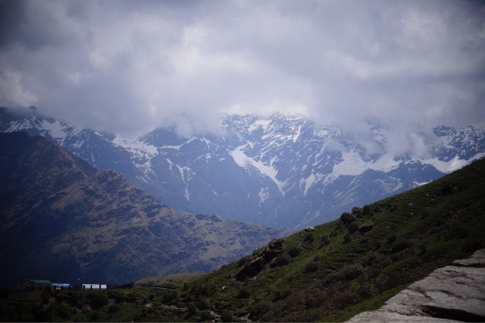 Photo of Occult Tungnath. by Anuja J