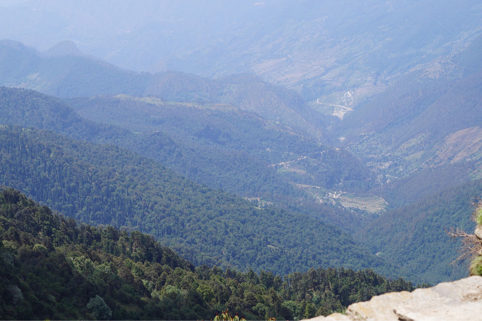 Photo of Occult Tungnath. by Anuja J