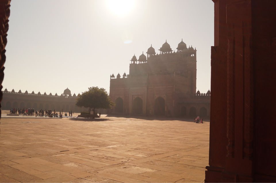 Photo of Fatehpur Look Book by Anuja J