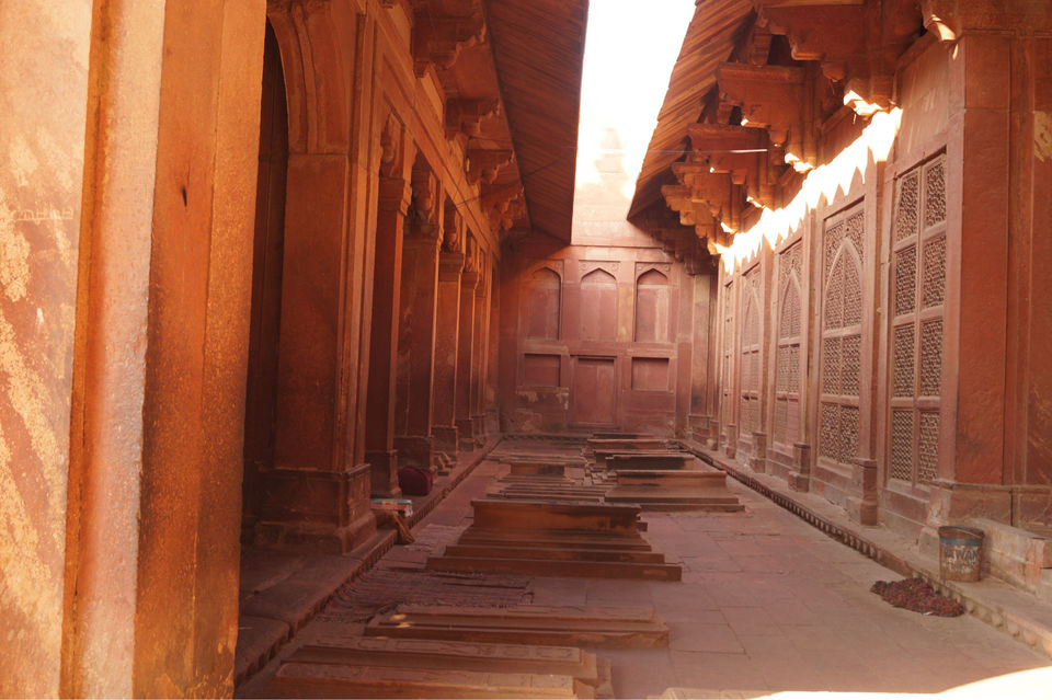 Photo of Fatehpur Look Book by Anuja J