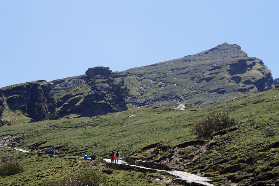 Photo of Occult Tungnath. by Anuja J