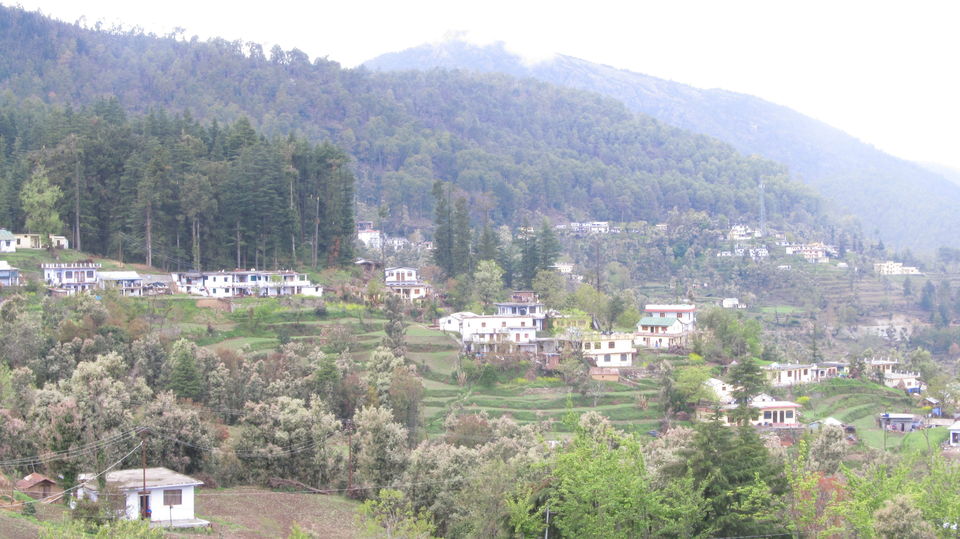 Photo of Gwaldam - Vantage point to the Mighty Trishul Peak 1/9 by anjali kumria