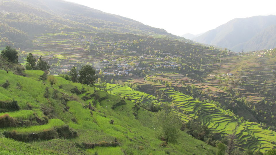 Photo of Gwaldam - Vantage point to the Mighty Trishul Peak 3/9 by anjali kumria