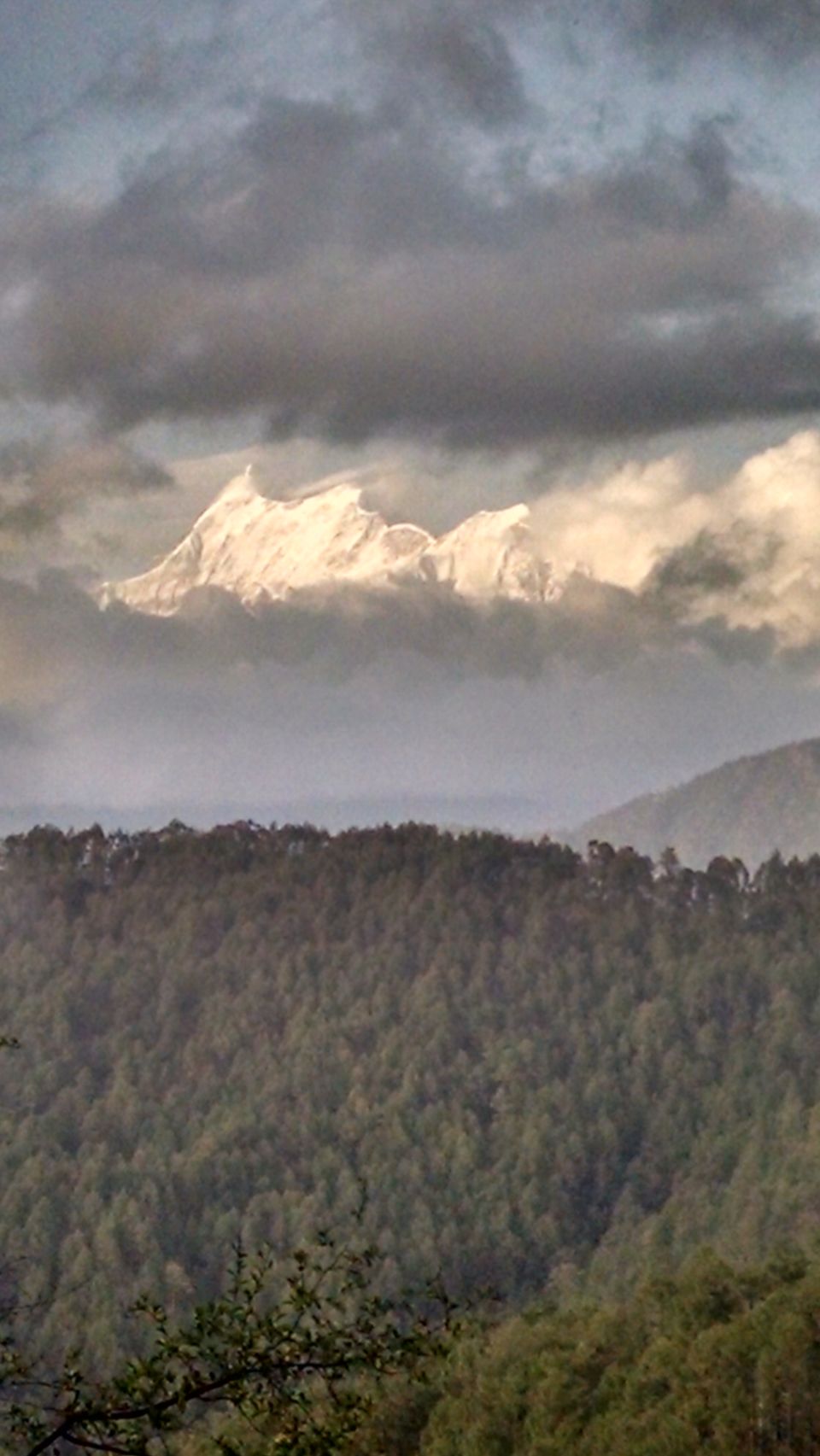 Photo of Gwaldam - Vantage point to the Mighty Trishul Peak 5/9 by anjali kumria