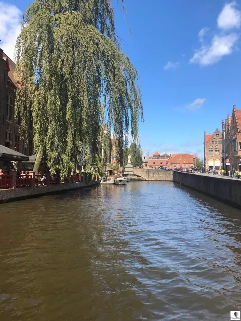 Photo of A 24-hour Guide to Bruges by TravelbugPao