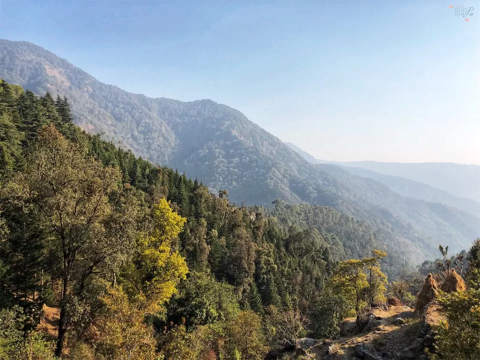 Photo of Pangot, Uttarakhand, India by TravelbugPao