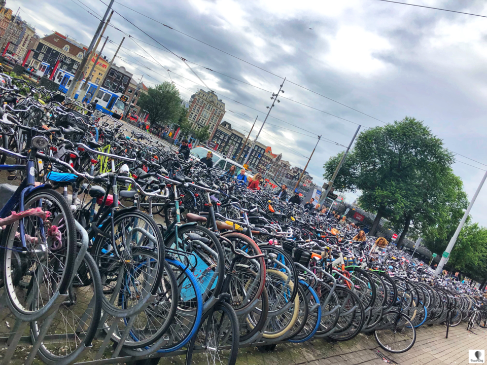 Photo of Beginners Guide: The Amsterdam Coffeeshop Experience by TravelbugPao