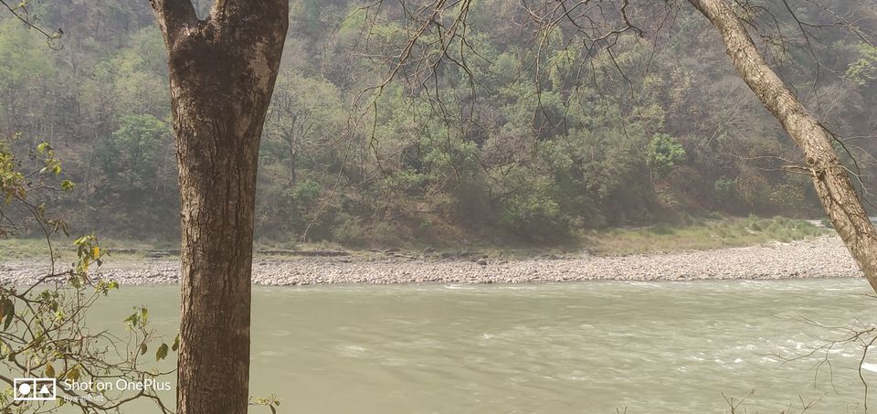 Photo of Exploring & Worship Gangeee @ Rishikesh : One Day Trip by Puneet Arora
