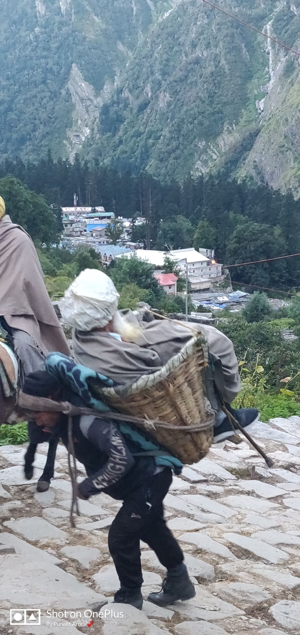 Photo of Connecting @ HemKund & Valley of Flowers by Puneet Arora