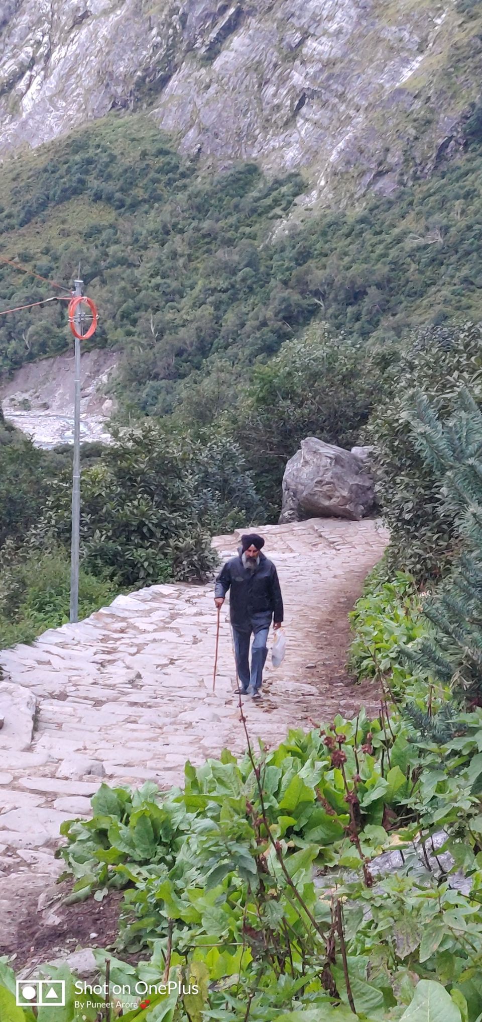 Photo of Connecting @ HemKund & Valley of Flowers by Puneet Arora