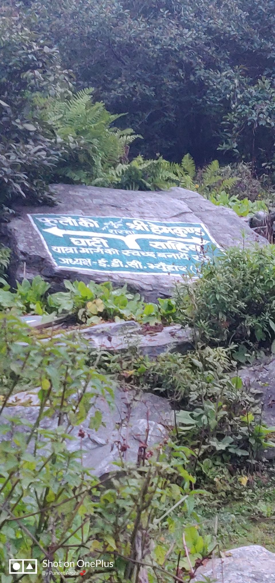 Photo of Connecting @ HemKund & Valley of Flowers by Puneet Arora