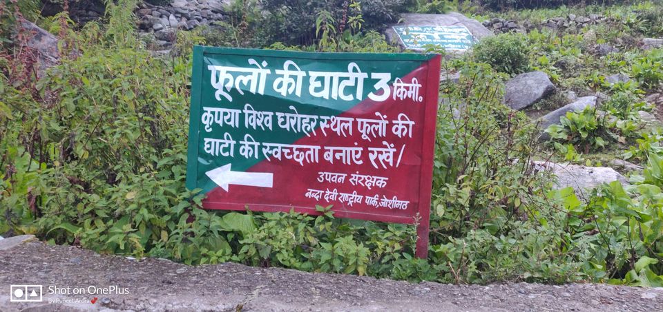 Photo of Connecting @ HemKund & Valley of Flowers by Puneet Arora