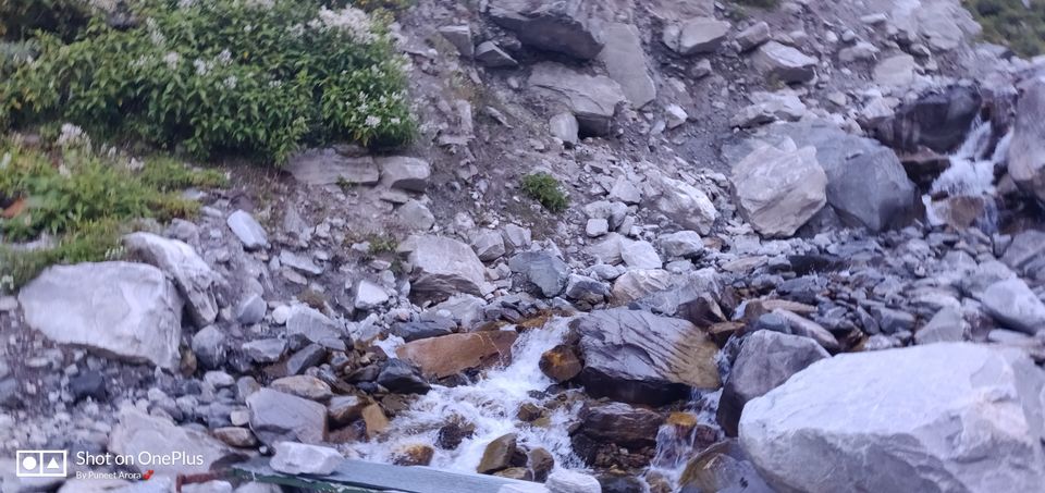 Photo of Connecting @ HemKund & Valley of Flowers by Puneet Arora