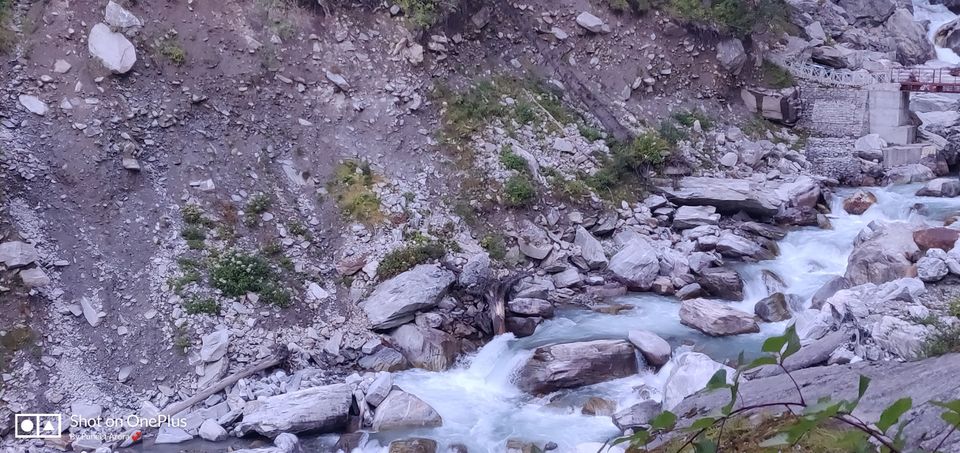 Photo of Connecting @ HemKund & Valley of Flowers by Puneet Arora