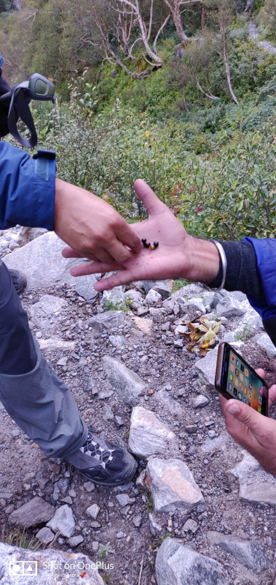 Photo of Connecting @ HemKund & Valley of Flowers by Puneet Arora