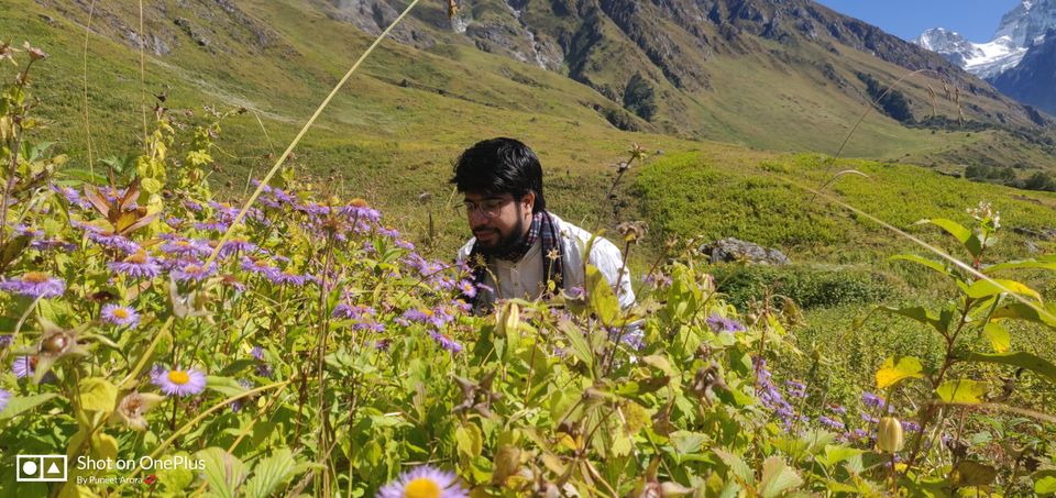 Photo of Connecting @ HemKund & Valley of Flowers by Puneet Arora