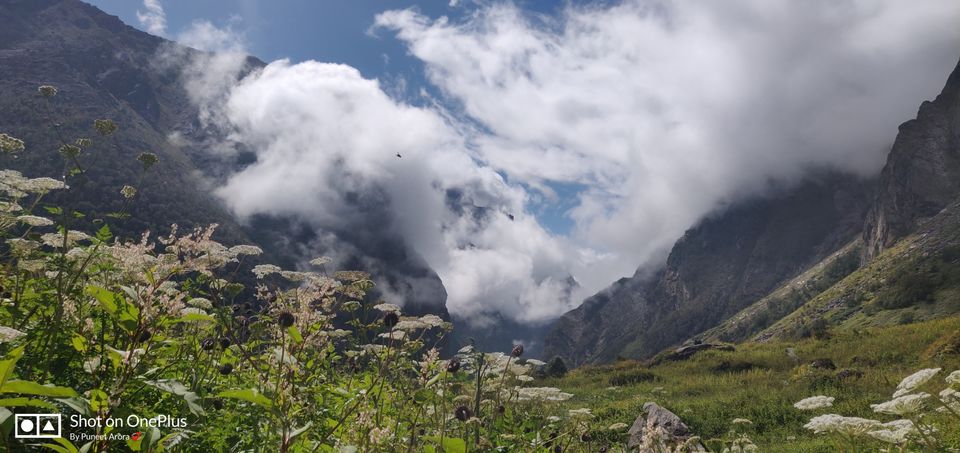Photo of Connecting @ HemKund & Valley of Flowers by Puneet Arora