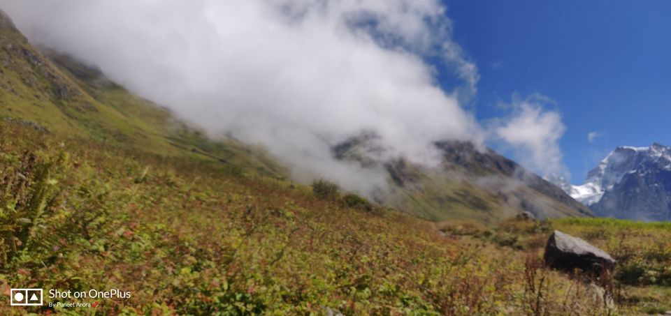 Photo of Connecting @ HemKund & Valley of Flowers by Puneet Arora