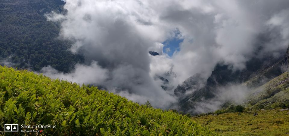 Photo of Connecting @ HemKund & Valley of Flowers by Puneet Arora