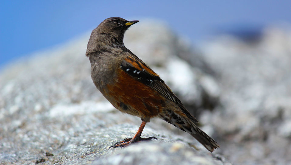 Photo of Kharikhola, Nepal by Nazim Ansari