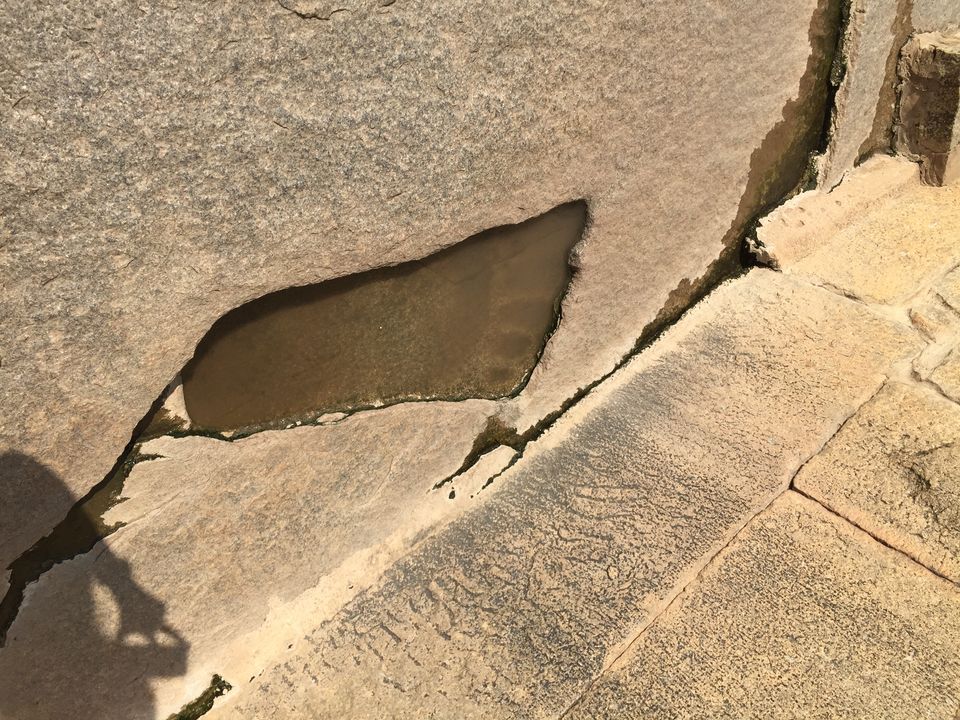 Photo of Lepakshi 10/14 by Bhavitha