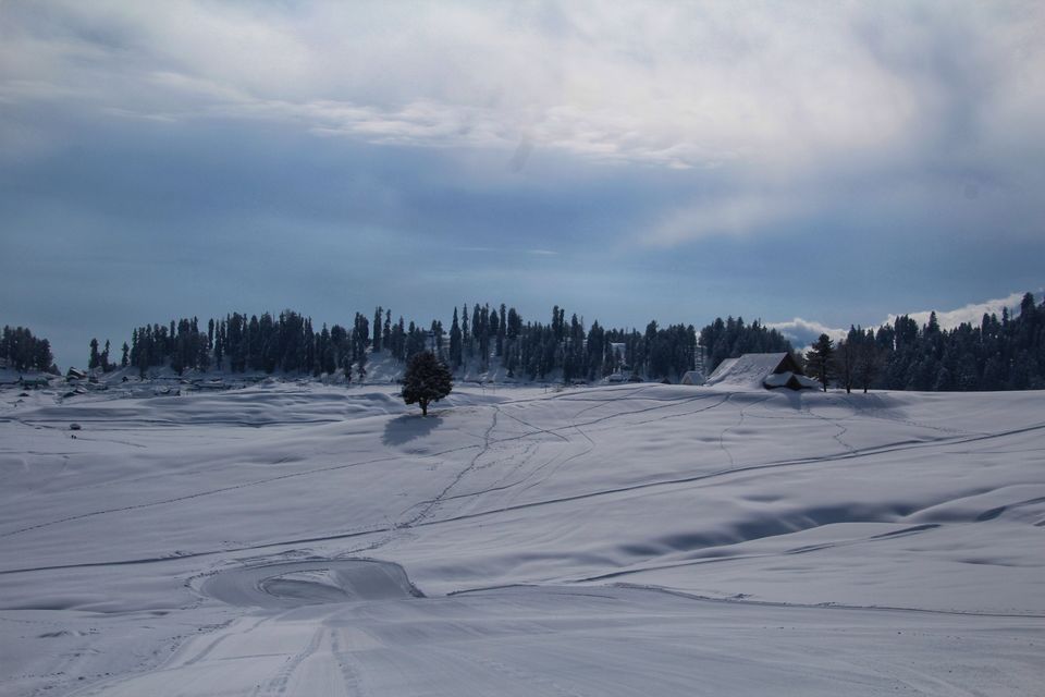 Photo of Gulmarg by Vidhu Bhargava