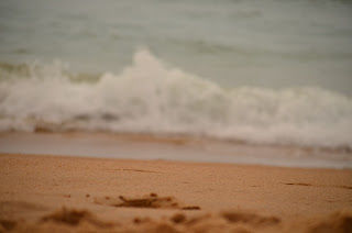 Photo of Goa Went Gone 5/5 by Yashodhara Khajuria