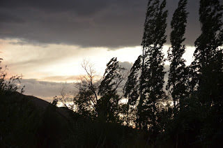 Photo of Ladakh Diaries 3/16 by Yashodhara Khajuria