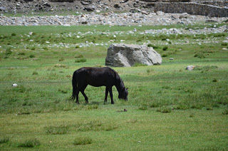 Photo of Ladakh Diaries 11/16 by Yashodhara Khajuria