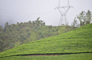 Photo of Winter Break in 'His' own Country- Kerala 12/12 by Yashodhara Khajuria