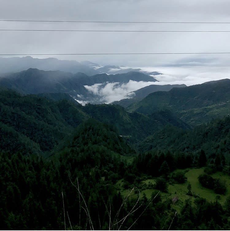 Photo of Dhanaulti, Uttarakhand, India by Yashodhara Khajuria