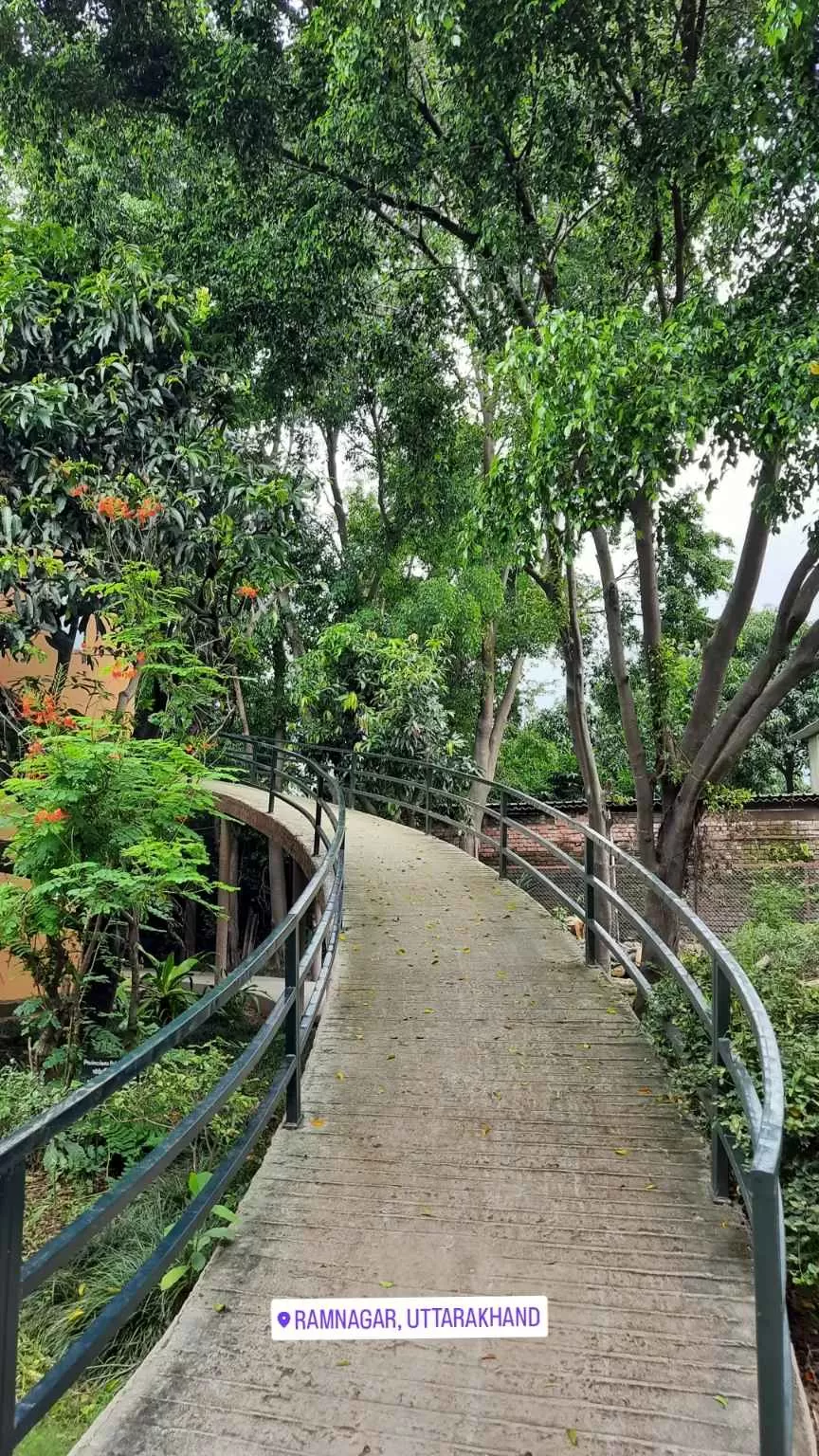Photo of Dhikuli by Damini