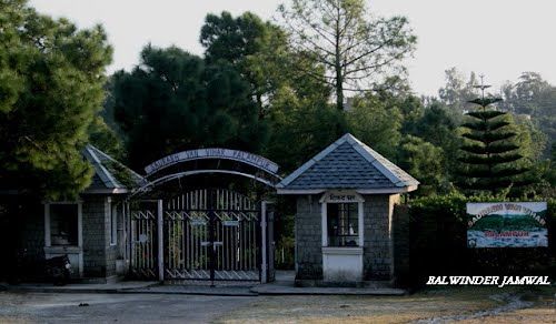 Photo of Saurabh Van Vihar, Bundla Kandi Road, Uwarna, Palampur, Himachal Pradesh, India by Damini Aggarwal