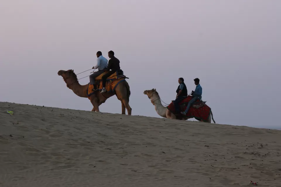 Photo of Sam Sand Dunes, Kanoi, Rajasthan, India by Damini