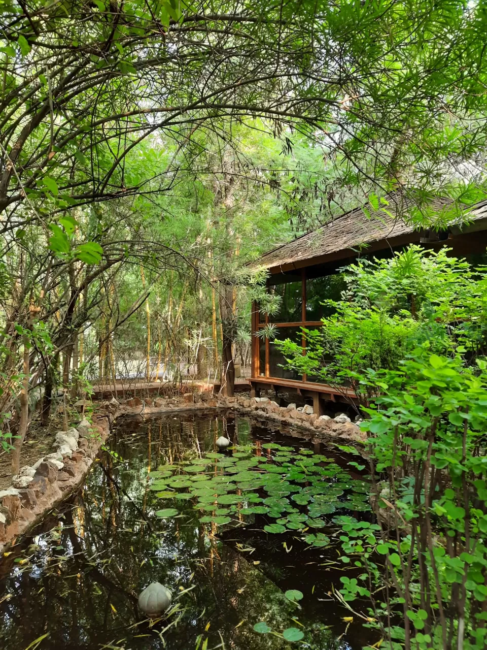 Photo of The Tree House Resort | Jaipur, NH11c, opp. Amity University, Kalwad Kalan and Khurd, Rajasthan, India by Damini