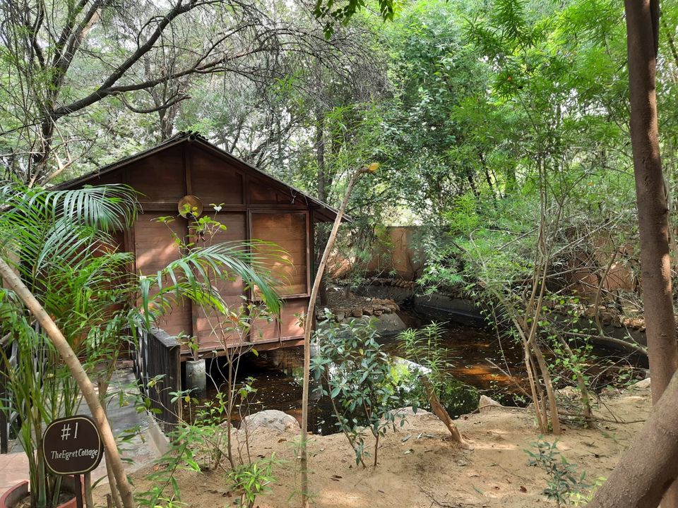 Photo of Quiet and Peaceful Staycation at The Tree House Resort, Jaipur by Damini
