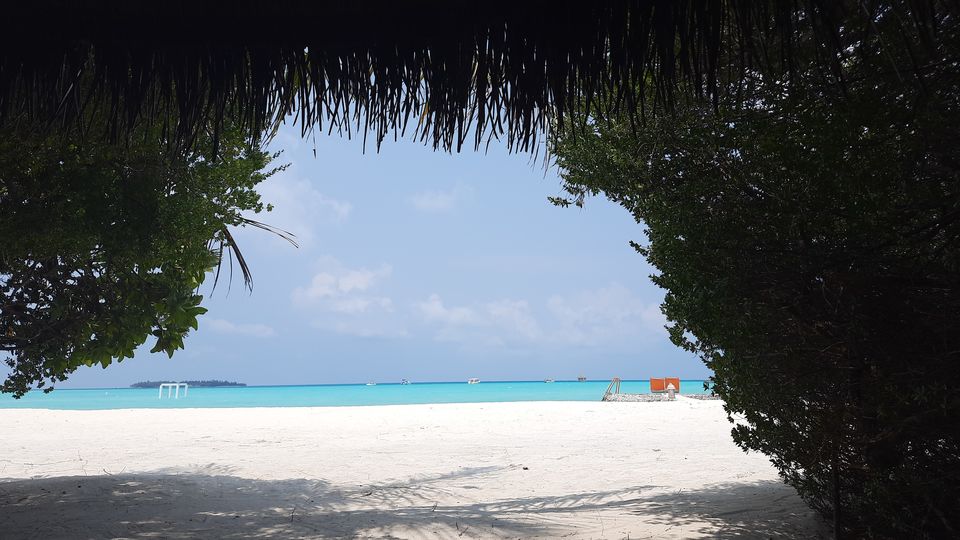Photo of Magical Maldives by Damini