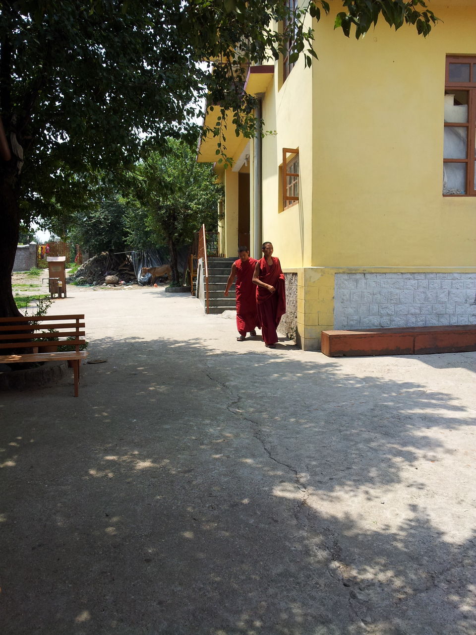 Photo of Gyuto, Karmapa (His Holiness 17th Gyalwang Karmapa's residence), Kardiana, Himachal Pradesh, India by Damini Aggarwal
