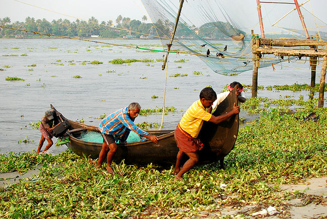 An evening in Fort Kochi