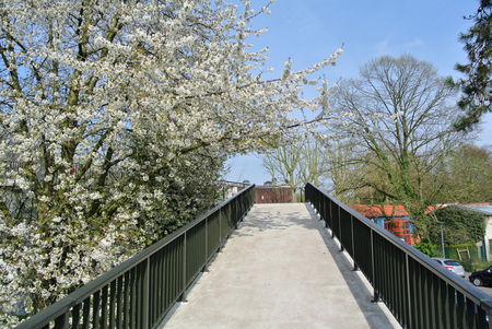 Photo of A birthday trip to France