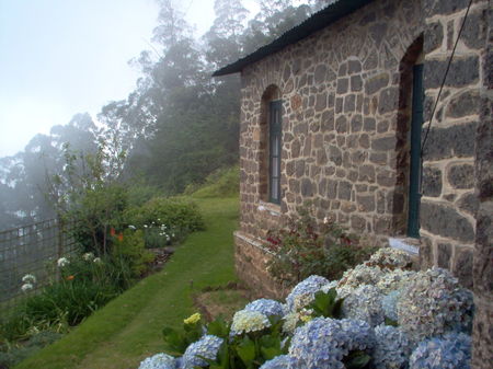 Photo of Kodaikanal - A place where you would wish to spend the rest of your life.