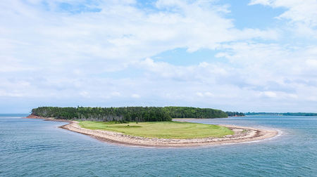 Photo of 26 Best Places In India To Visit This December To End The Year With A Bang!