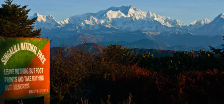 Photo of Red Panda Expedition at Singalila National Park 