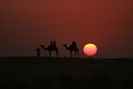 Photo of An incredible 8 day 1800 kms road trip on local transport to Rajasthan - the land of the Kings