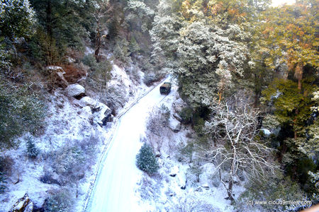 Photo of Auli – A paradise nestled in the lap of Himalayas