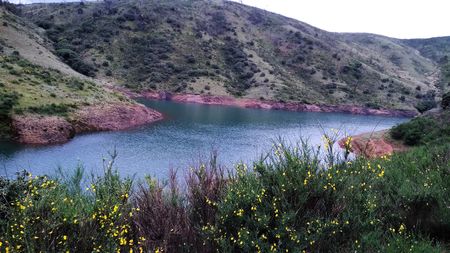 Photo of Mesmerizing Nilgiris - Ooty, Mudumulai and Coonoor 
